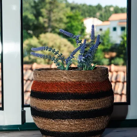 Casa Aguas De Xisto Gestosa Fundeira