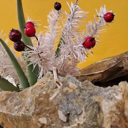 Casa Aguas De Xisto 3*