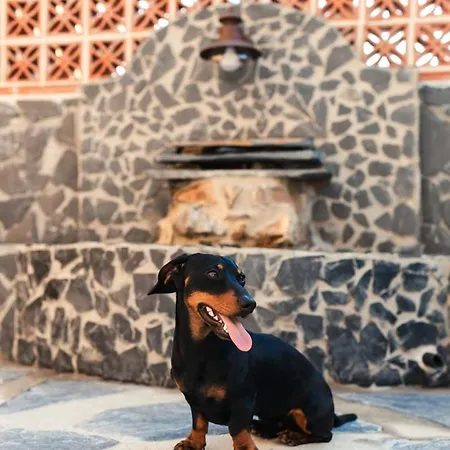 Gasthof Casa Aguas De Xisto Gestosa Fundeira