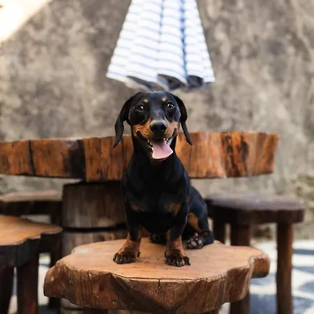 Casa Aguas De Xisto Gasthof